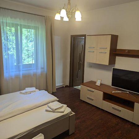Casa Alex Villa Valiug Ngoại thất bức ảnh
