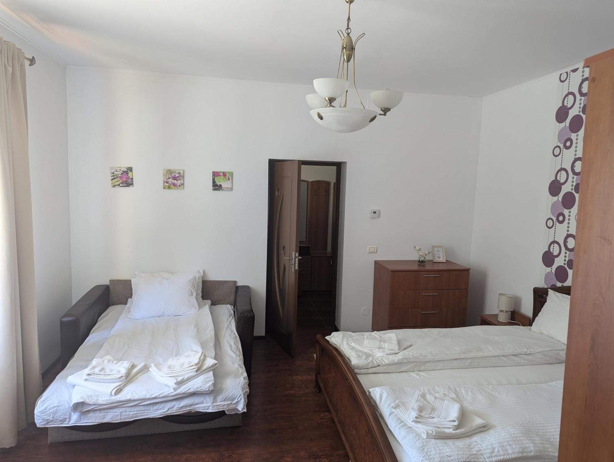 Casa Alex Villa Valiug Ngoại thất bức ảnh